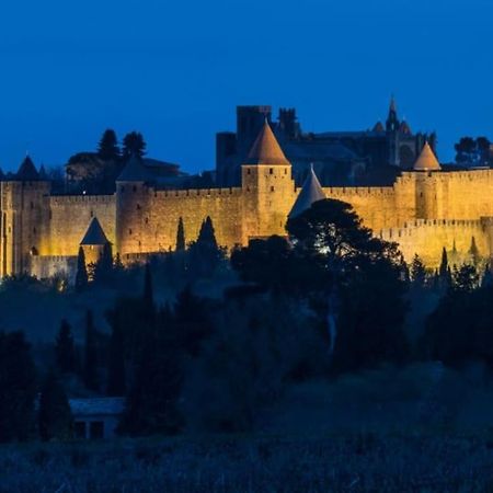 Apartmán Le Panoramique - Sublime Vue Sur La Cite Carcassonne Exteriér fotografie
