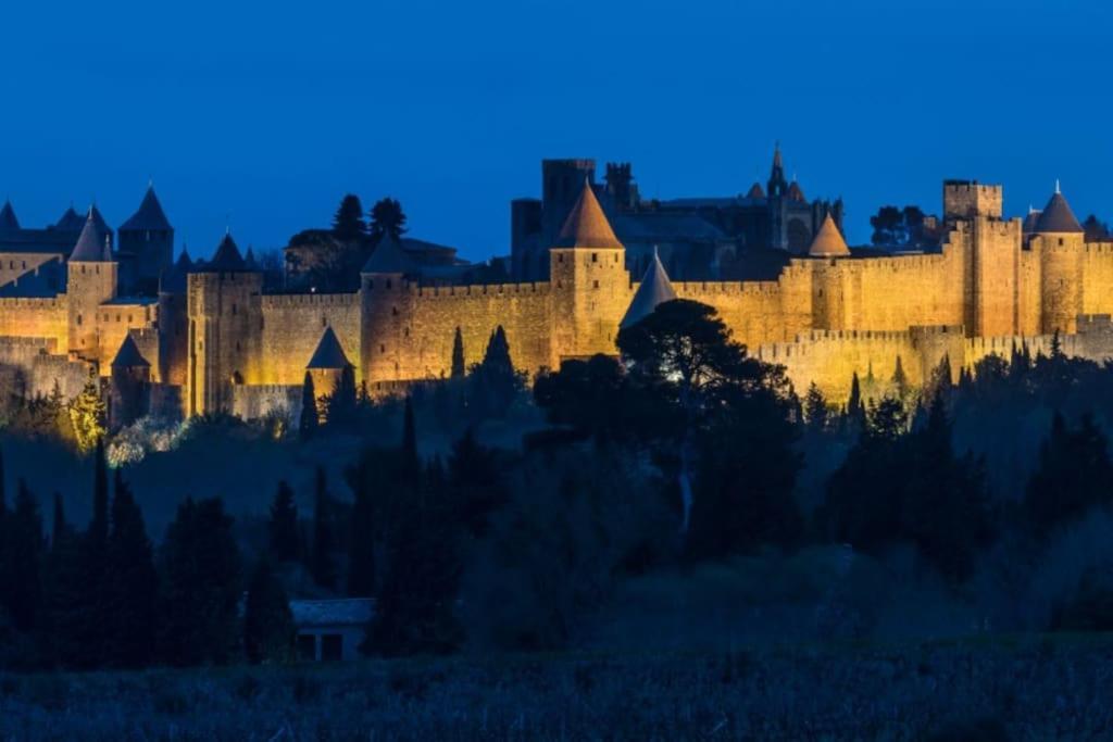 Apartmán Le Panoramique - Sublime Vue Sur La Cite Carcassonne Exteriér fotografie